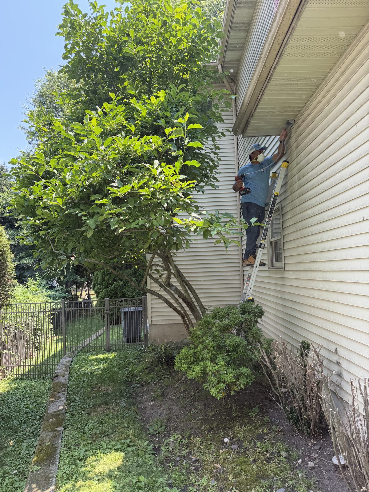 An AMG technician on a ladder under the eaves, working at a vent behind the trees
