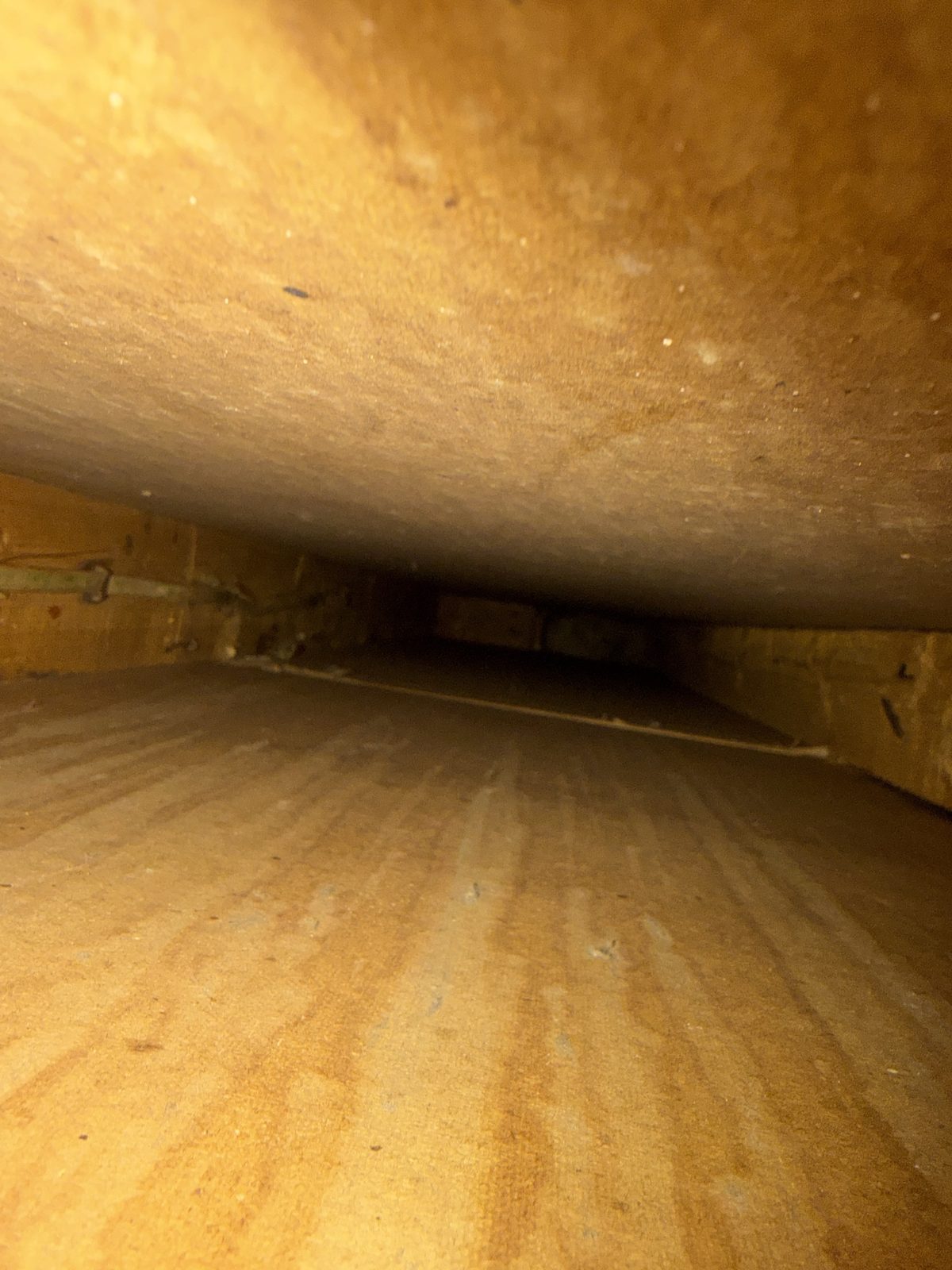 The same cavity after cleaning, the wood surfaces clear