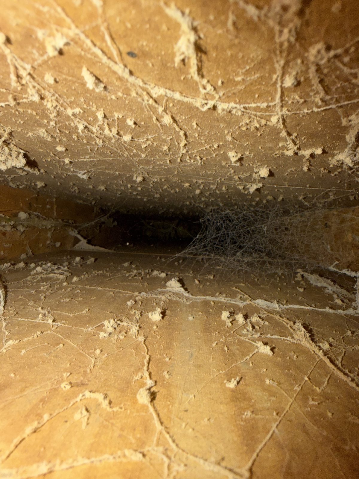 Dust and cobwebs across the wood inside a cavity used as a duct, before cleaning